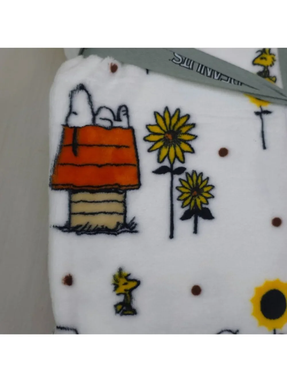 Peanuts Snoopy VelvetLoft Blanket 90